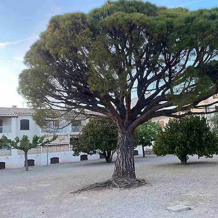דירה Studio Entre Mer Et Village